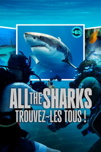 voir série All the Sharks : Trouvez-les tous ! saison 1